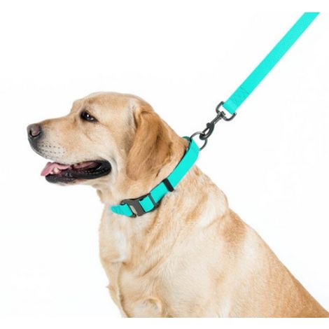 Collar WauDog Waterproof Obroża wodoodporna z QR-paszportem, akumulująca światło, plastikowy fastex, 25mm/34-49cm - 5