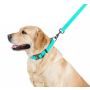 Collar WauDog Waterproof Obroża wodoodporna z QR-paszportem, akumulująca światło, plastikowy fastex, 25mm/34-49cm - 5