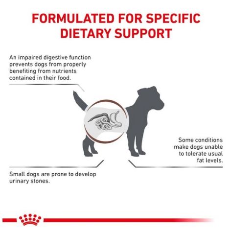 Royal Canin Veterinary Diet Canine Gastrointestinal Low Fat Small 1,5kg - 3