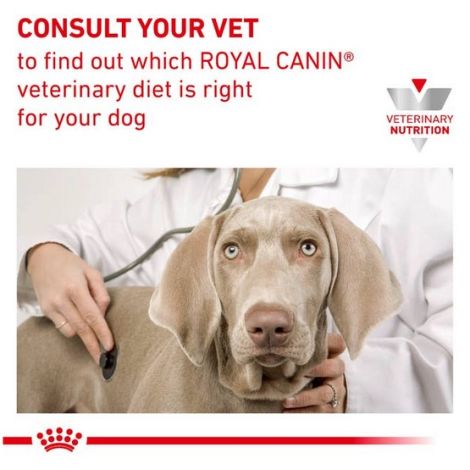 Royal Canin Veterinary Diet Canine Gastrointestinal Low Fat Small 1,5kg - 5