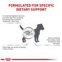 Royal Canin Veterinary Diet Canine Gastrointestinal Low Fat Small 1,5kg - 3