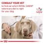 Royal Canin Veterinary Diet Canine Gastrointestinal Low Fat Small 1,5kg - 5